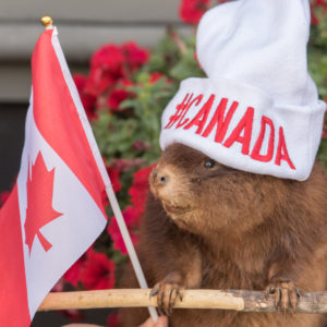 Bring Benny to your Canada Day party!